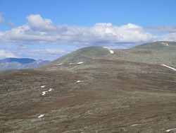 Hornflågan Vest