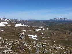 Skrikhøa