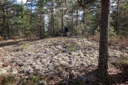 Skotjernhøyda