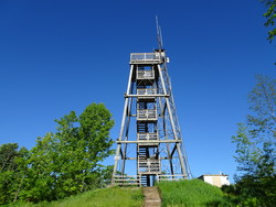 Timms Hill