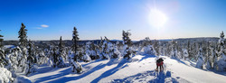 Gåstjernshøgda