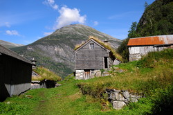 Skageflå