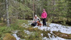 Bølstadåsen