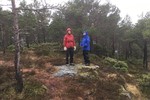 Grønstadliheia