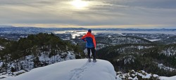 Bufjellet
