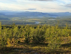 Kurravaara