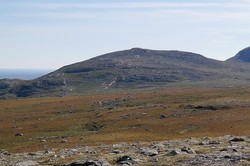 Grytingen Øst