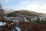Høgskjerva