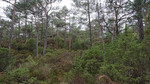 Ternhaugen nordvest