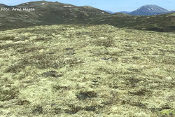 Tverrfjellet