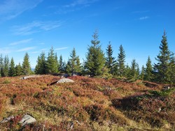 Nordseterhøgda
