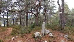 Silkesåtene Sør
