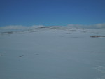 Skarvehøi