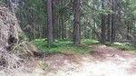 Slengfehøgda