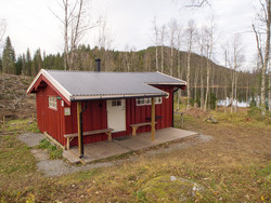 Garsjøkoia