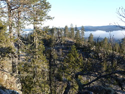 Nordnordøst for Tørråsen