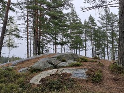 Kjølstadfjellet