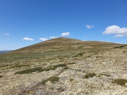 Digerkampen