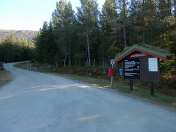 Dindalsvegen