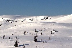 Rævskorotjernhaugen