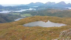 Grønbrona