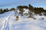 Barlifjellet