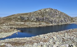 Vest for Torshalltjønni