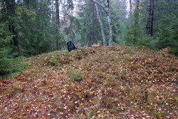 Kattåsen