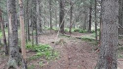 Reitbakkhøgda