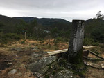 Tereleitet