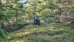 Vivangskollen