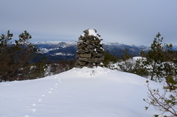 Tveitaråheia
