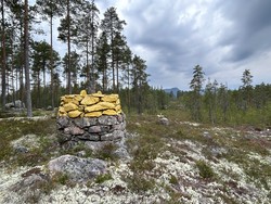 Riksrøys 100