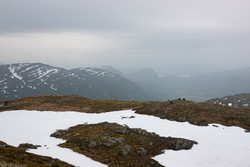 Tågliknobben