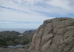 Måkevassknuten