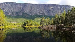Homfjellet