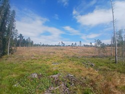 Nysæterberget