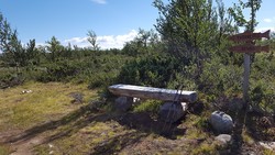 Revsjøvegen