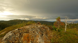 Røyskattheia