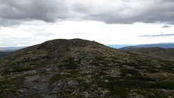 Gråhøa øst