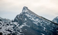 Little Lougheed