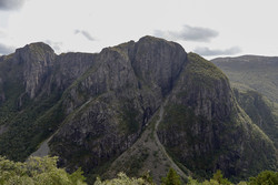 Torkjelsknuten
