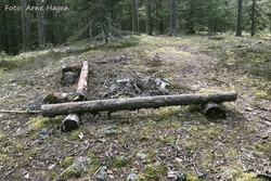 Syringberget