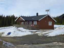 Pruterud