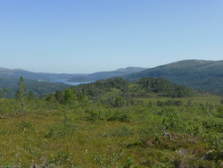 Melahaugen