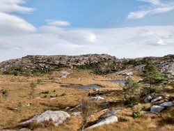 Håvåsen