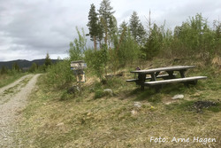 Fosstuakrysset