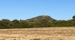 Puig de sa Font