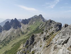 Garsellikopf