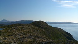 Stortua